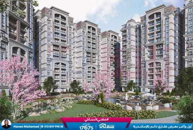 8504546 - Property Image 3