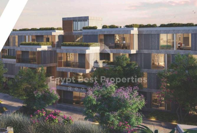 8531050 - Property Image 3