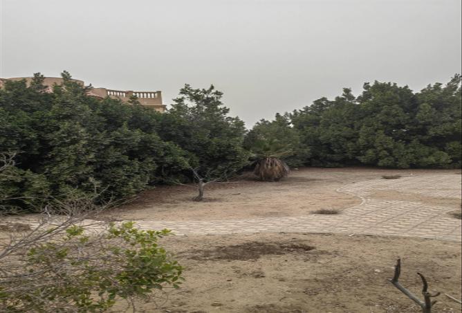 8610927 - صورة العقار 3