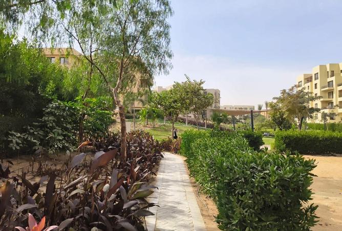 8585268 - صورة العقار 2