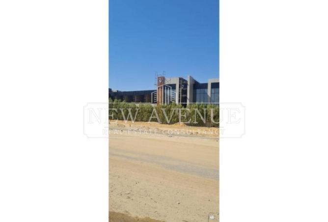 98013521 - صورة العقار 3