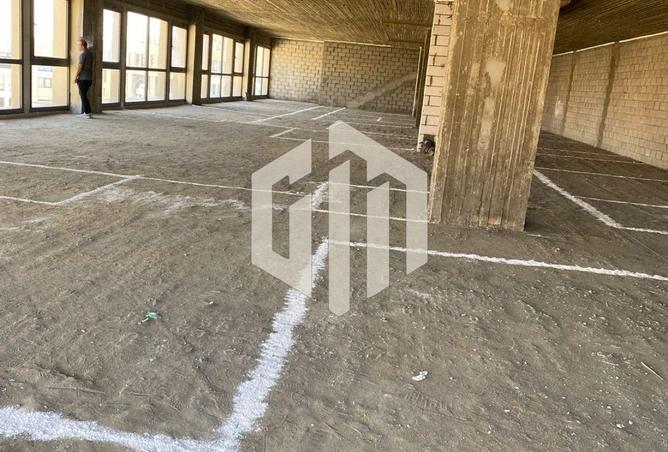 55499991 - صورة العقار 2