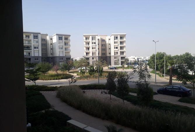 55253431 - Property Main Image