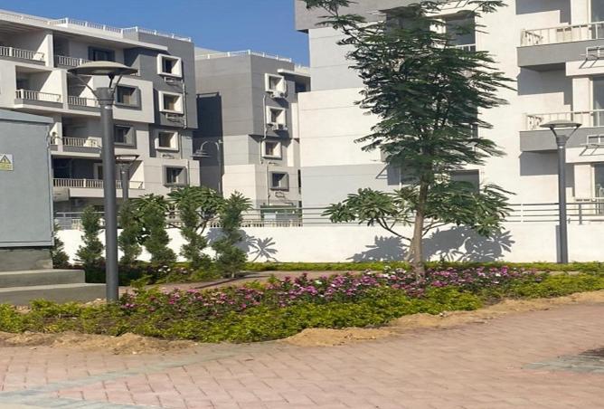 85060836 - صورة العقار 3