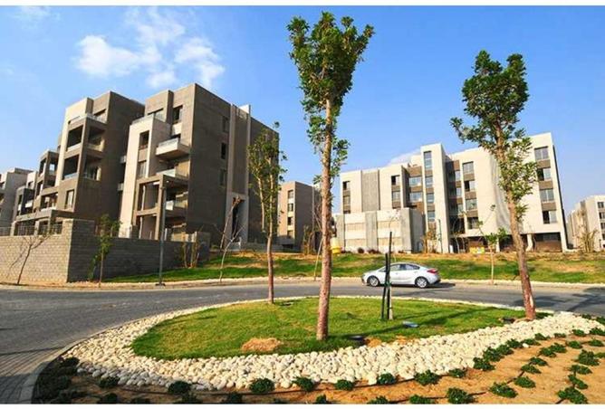 54109653 - صورة العقار 3