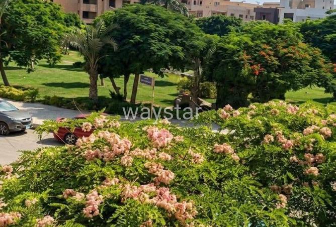 91277755 - صورة العقار 3