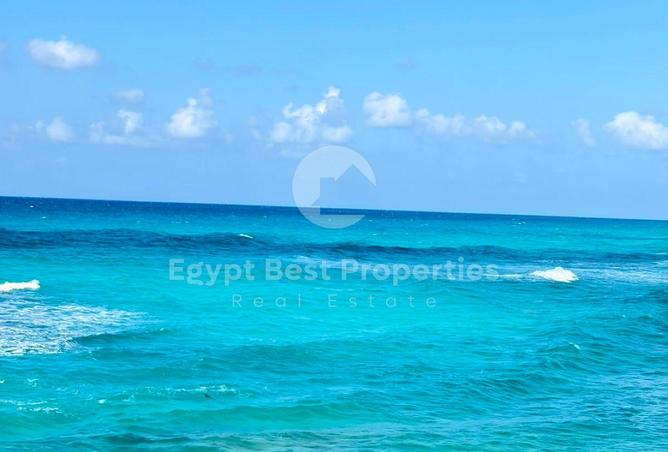 104036463 - صورة العقار 2
