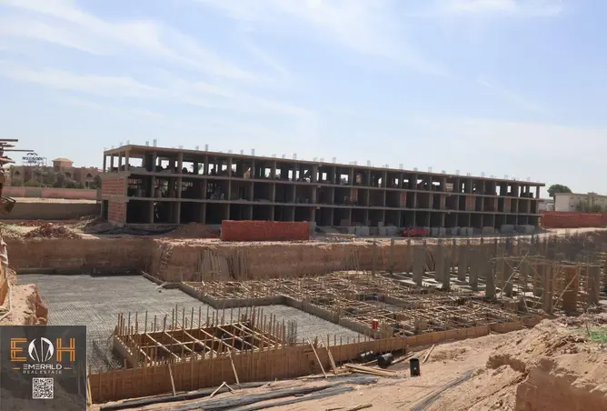 119341079 - Property Image 3