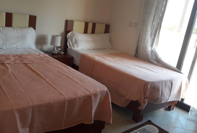 107404435 - Property Image 3