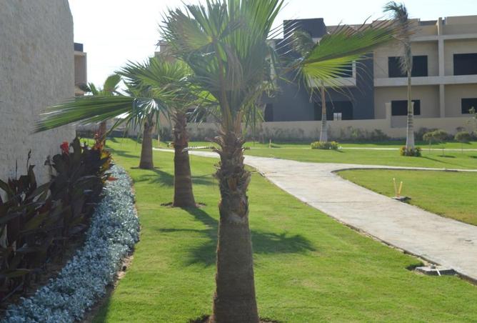 75405304 - صورة العقار 2
