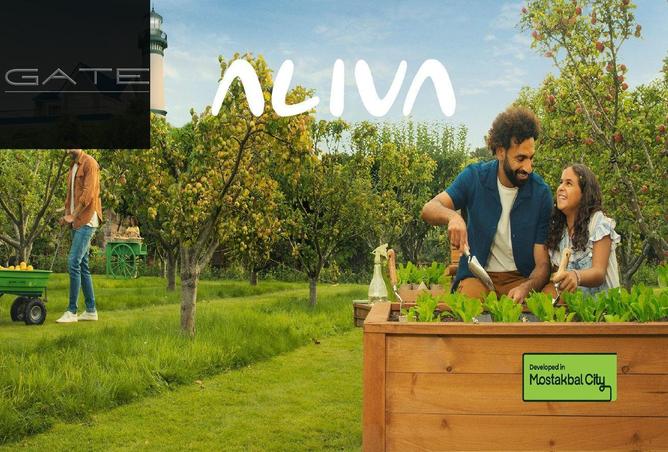 70622571 - Property Image 3