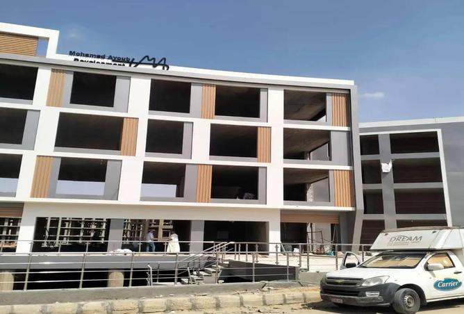 8603263 - Property Image 3