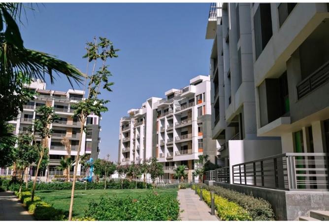 8523852 - Property Image 3