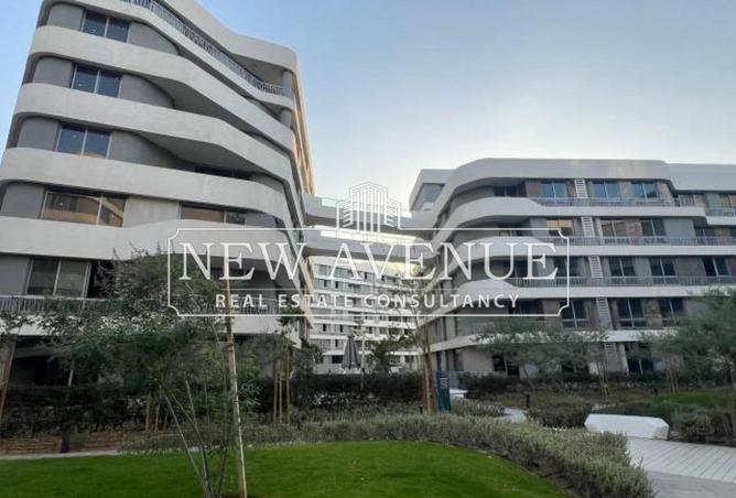 66177425 - Property Image 2