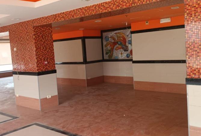 64907992 - Property Image 3