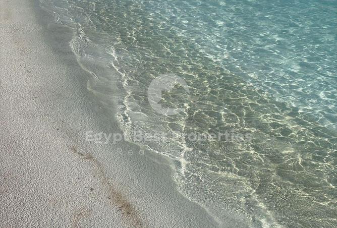 79453862 - صورة العقار 3