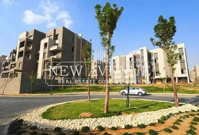 61694843 - Property Image 3