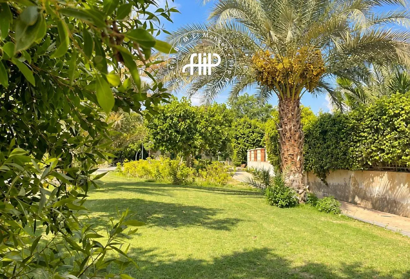 119059303 - الصورة الرئيسية للعقار