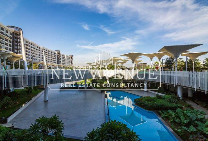 61206033 - صورة العقار 2