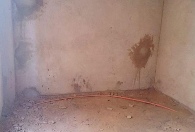 58248903 - صورة العقار 2