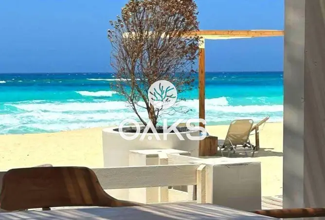 109644417 - Property Image 3
