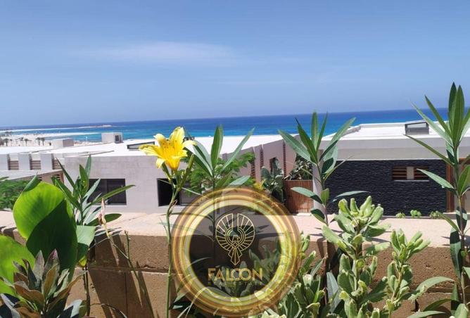 74319143 - صورة العقار 2