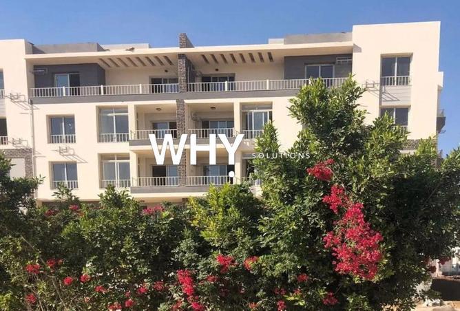 62646955 - صورة العقار 2