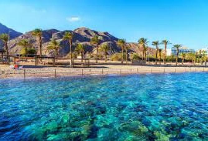 8579016 - صورة العقار 2