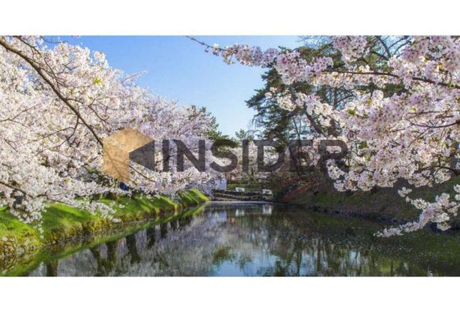 8545609 - Property Main Image