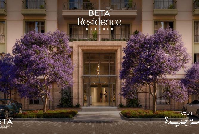 54237269 - Property Image 3