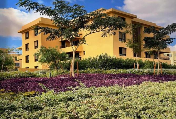 8602705 - صورة العقار 3