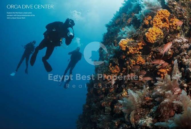 97725289 - صورة العقار 3