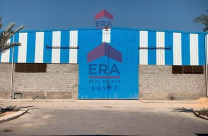Warehouse - Studio - 3 Bathrooms for rent in Belbeis   10th of Ramadan Road - Zezenia 10th of Ramadan - 10th of Ramadan City - Sharqia