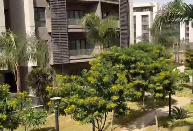 54503572 - صورة العقار 3