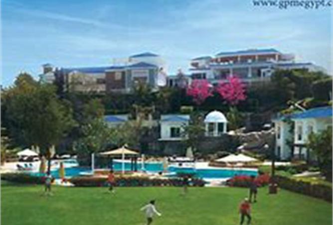 8529255 - صورة العقار 2