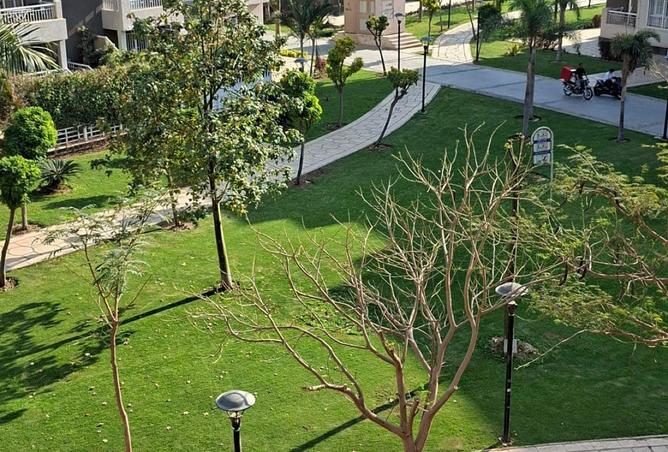 68527406 - صورة العقار 3