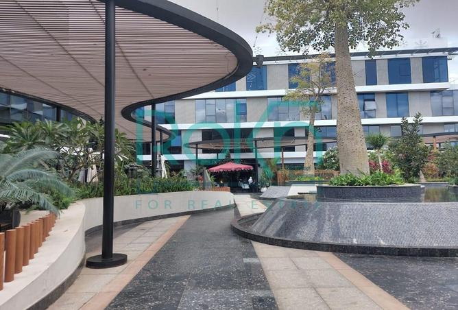 70370810 - Property Image 3