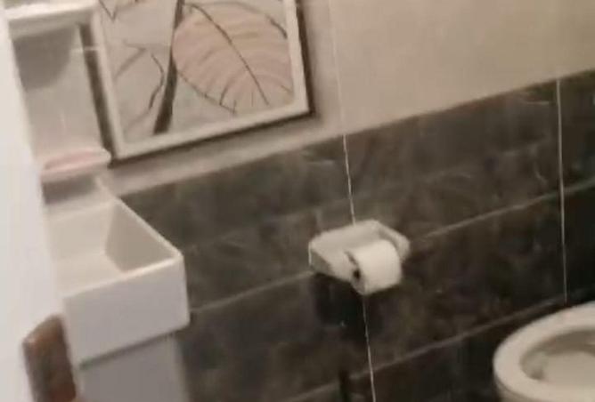 55498929 - صورة العقار 3