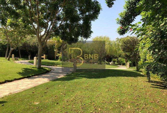 56001838 - Property Image 3