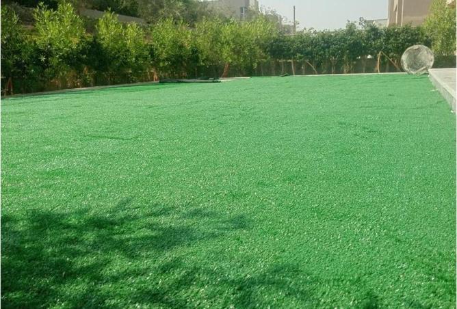 63130736 - صورة العقار 2