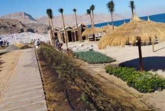 8705931 - صورة العقار 3