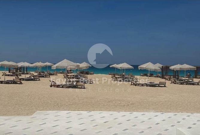 81309690 - Property Main Image
