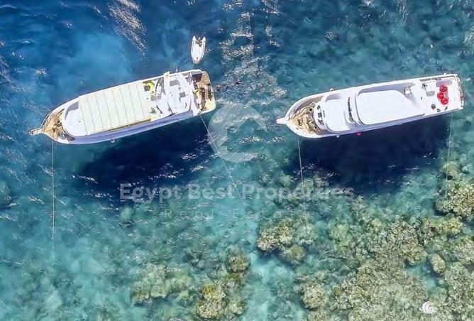 8695947 - الصورة الرئيسية للعقار