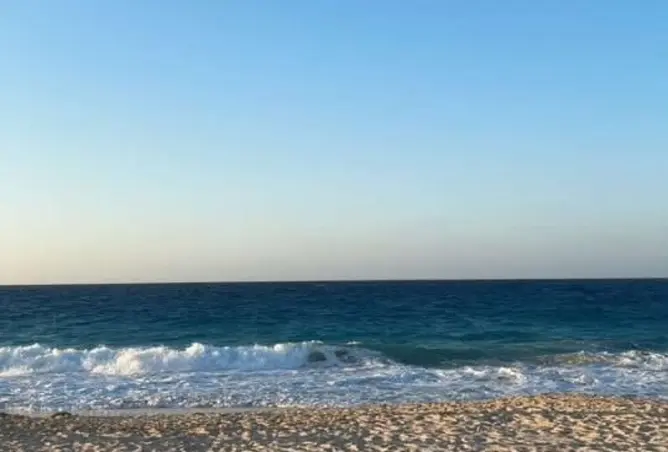113262325 - صورة العقار 2