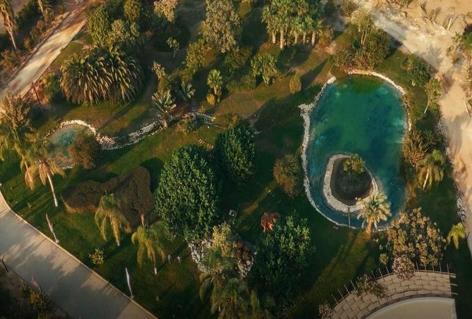 60959522 - صورة العقار 3