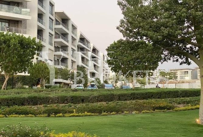 53725960 - صورة العقار 2