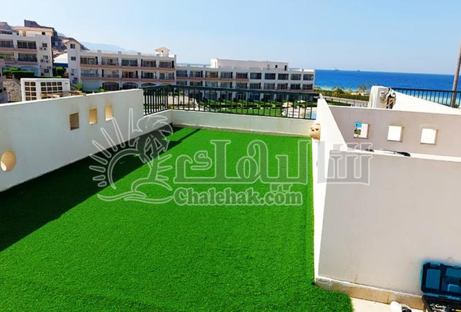 101784165 - صورة العقار 3