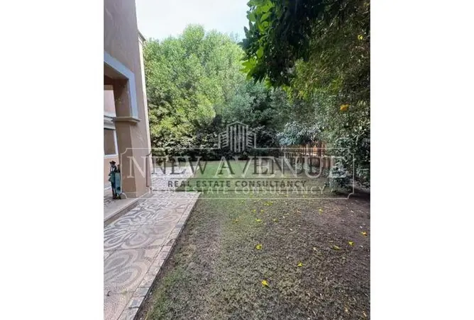 115163554 - Property Image 3