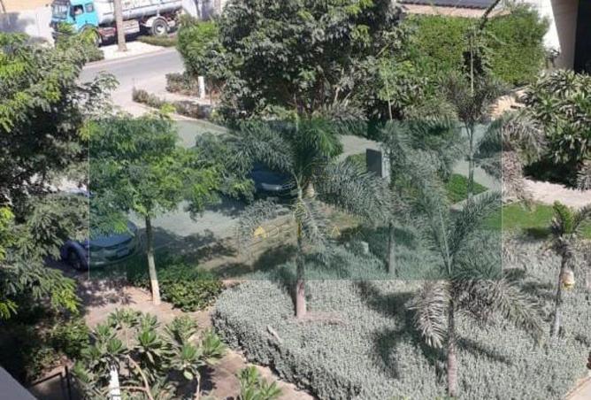 66954698 - Property Image 3