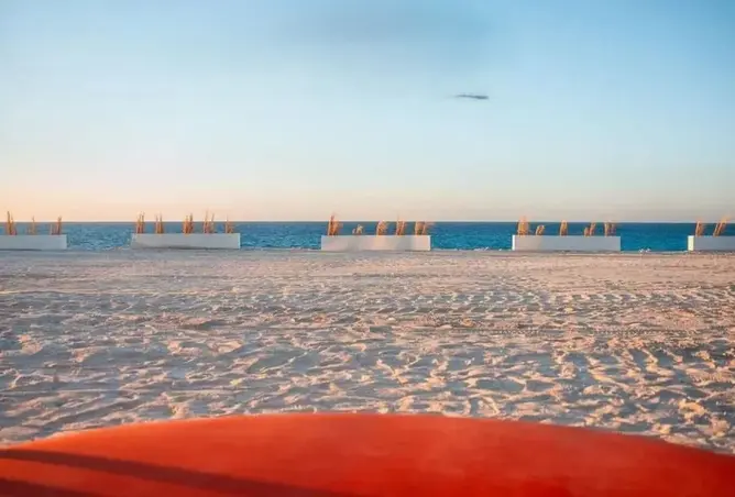 99110087 - صورة العقار 2